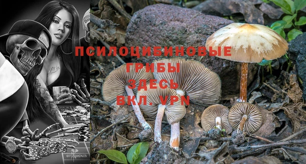 дурь Балабаново