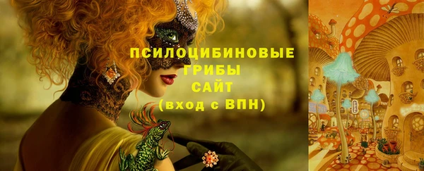 хмурый Строитель