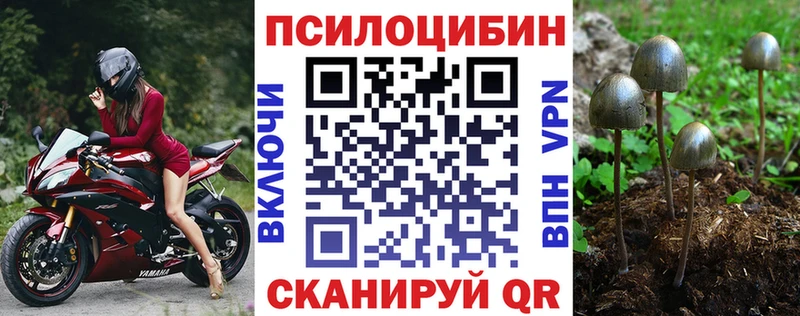 Галлюциногенные грибы ЛСД  Ясный 