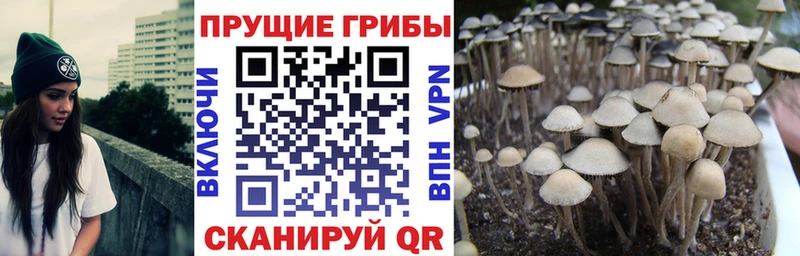 Галлюциногенные грибы прущие грибы Ясный